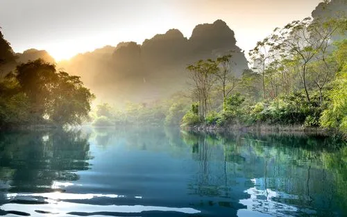 高效高效高性能